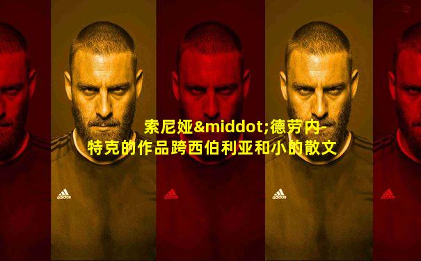 索尼娅·德劳内-特克的作品跨西伯利亚和小的散文