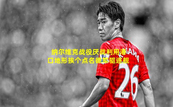纳尔维克战役厌战利用港口地形挨个点名德军驱逐舰