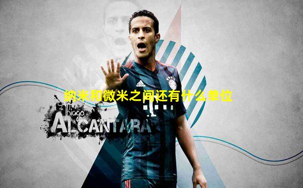 纳米和微米之间还有什么单位