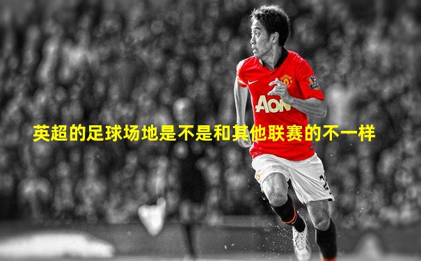 英超的足球场地是不是和其他联赛的不一样