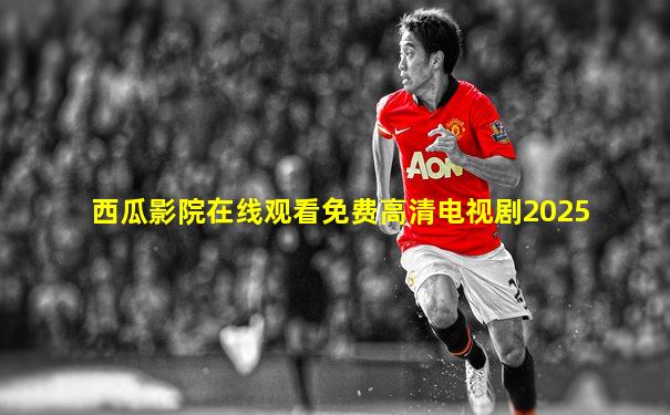 西瓜影院在线观看免费高清电视剧2025