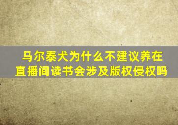 马尔泰犬为什么不建议养在直播间读书会涉及版权侵权吗